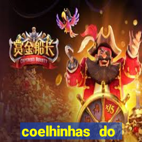 coelhinhas do brasil acompanhantes